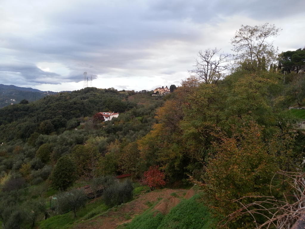 Gli Aceri B&B Arcola Exteriér fotografie